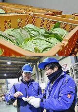 (株)低温
