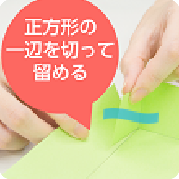 ポイント