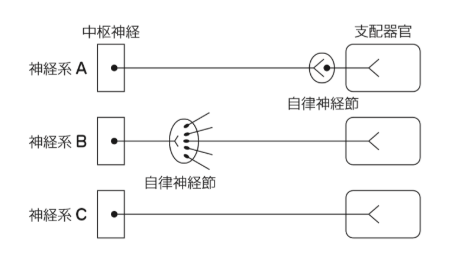 図