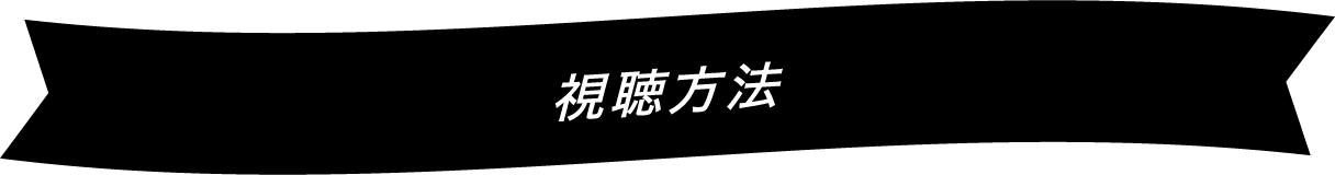視聴方法