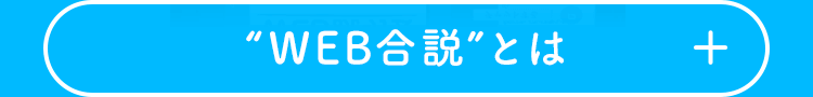 “WEB合説”とは