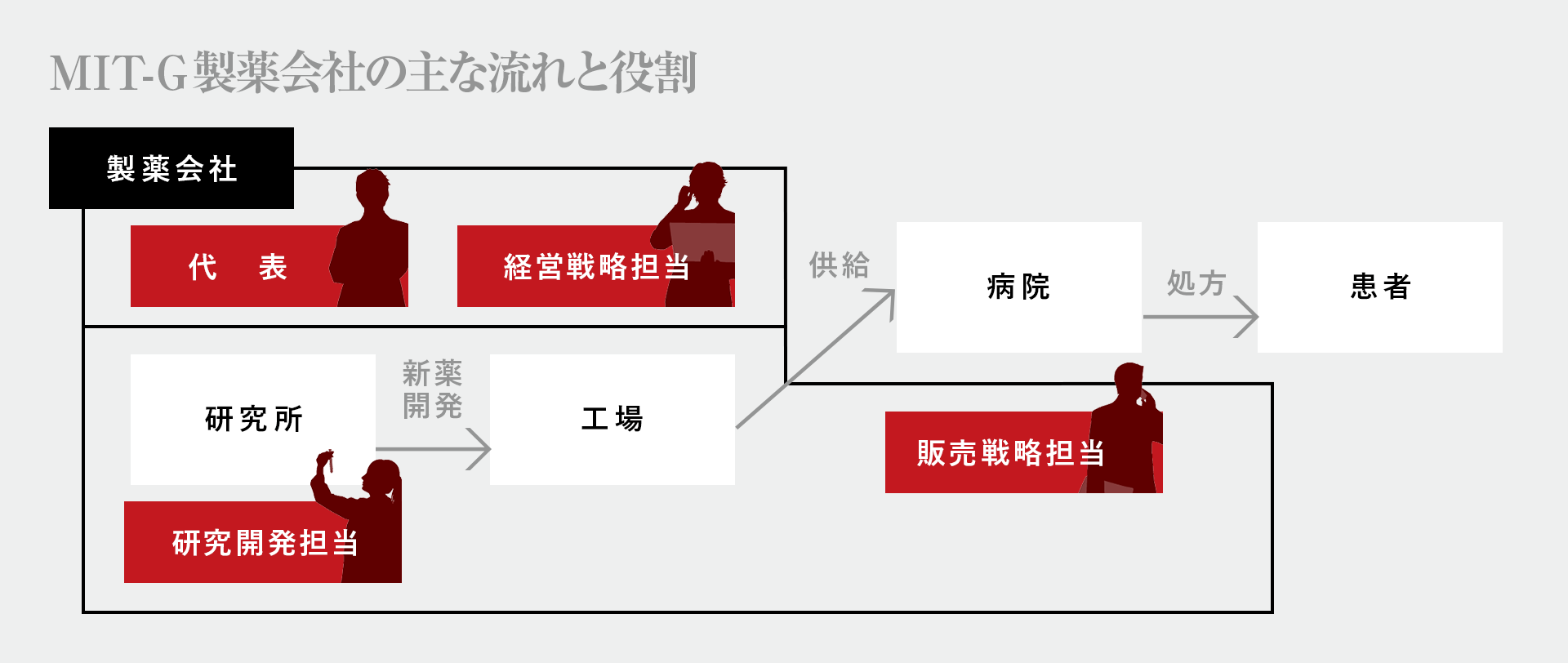 MIT-G製薬会社の主な流れと役割