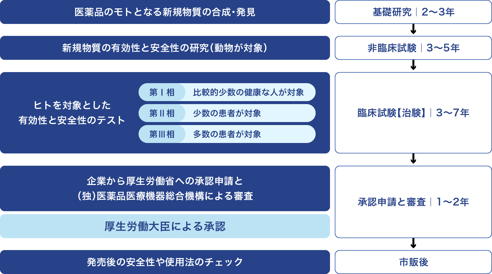 一般的な医薬品の開発の基本的な流れ