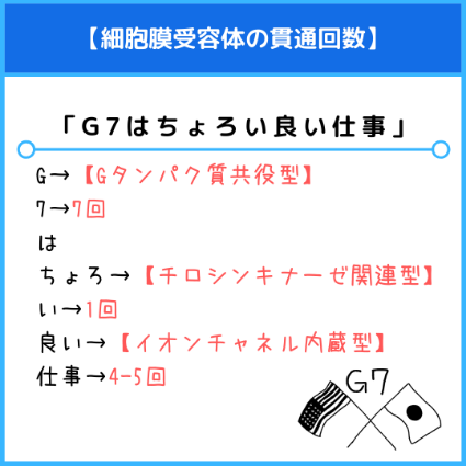 細胞膜受容体の膜貫通回数