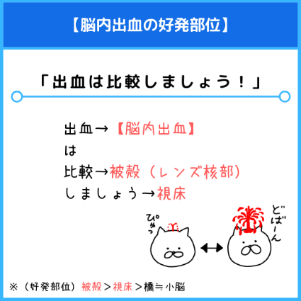 国家試験・CBT・定期試験に対応！薬学べんぜんのゴロ合わせ 