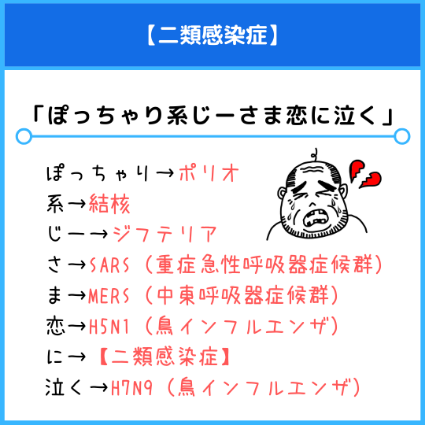 国家試験・CBT・定期試験に対応！薬学べんぜんのゴロ合わせ 