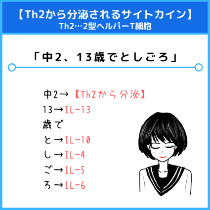 Th2（2型ヘルパーT細胞）が産出するサイトカイン