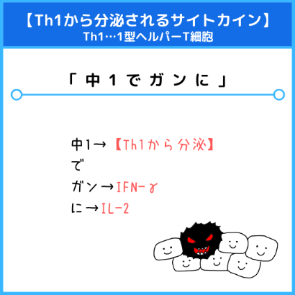 Th1（1型ヘルパーT細胞）が産出するサイトカイン