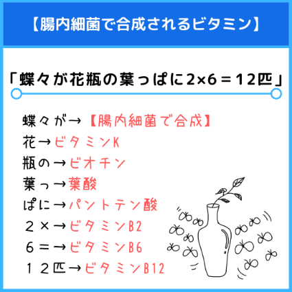 腸内細菌で合成されるビタミン