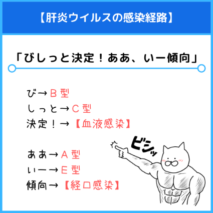 肝炎ウイルスの感染経路