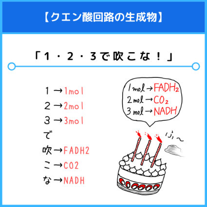 クエン酸回路の生成物