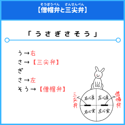 僧帽弁と三尖弁