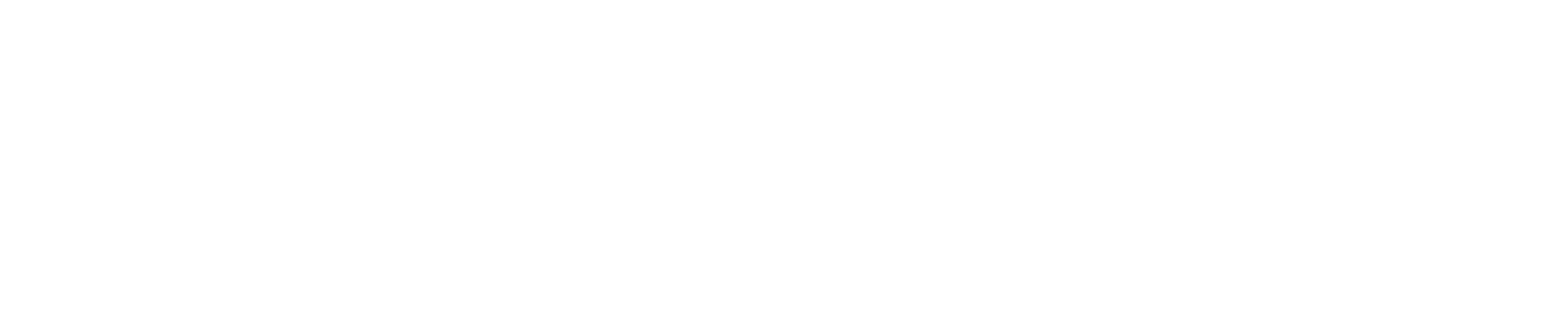 Internship