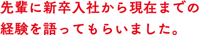 先輩に新卒入社から現在までの経験を語ってもらいました。