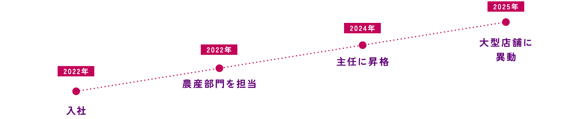 これまでのあゆみ