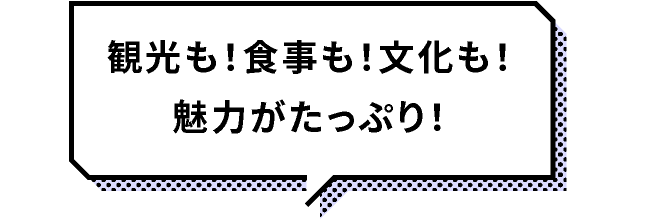 観光も！食事も！文化も！魅力がたっぷり！