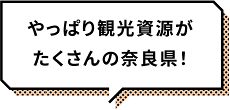 やっぱり観光資源がたくさんの奈良県!