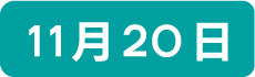 11月20日