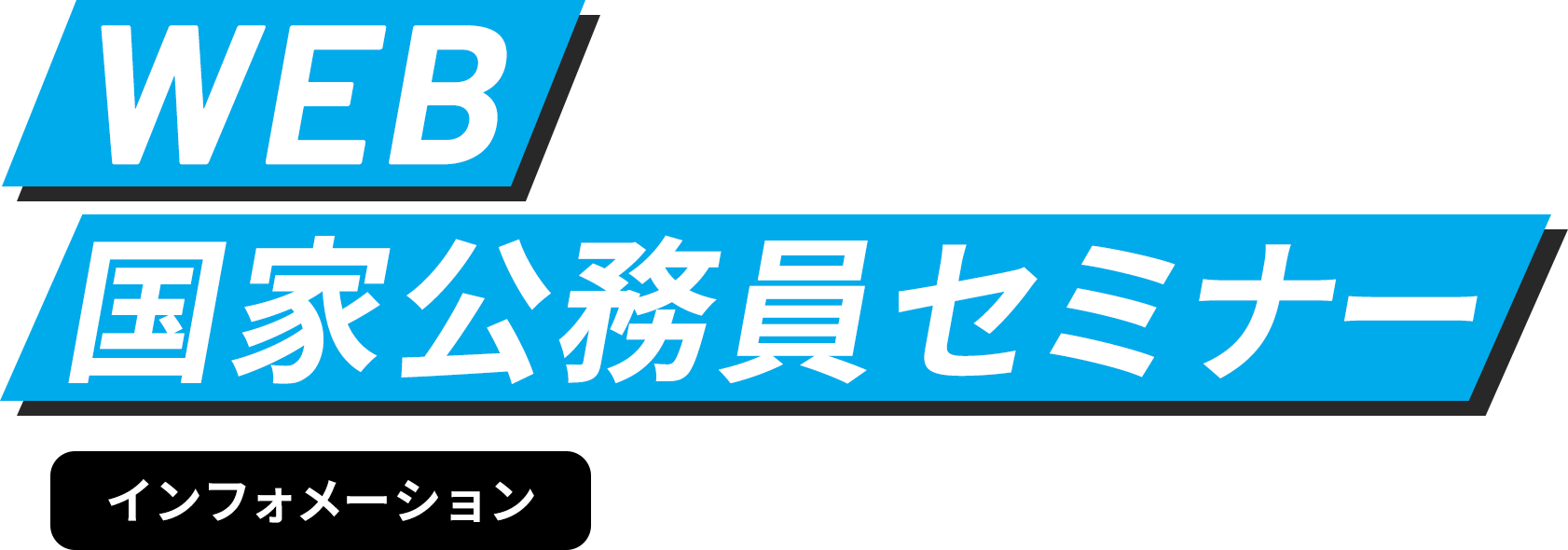 マイナビ2024 WEB公務研究セミナー